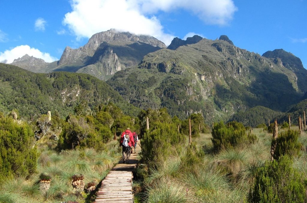 Mount Elgon National Park