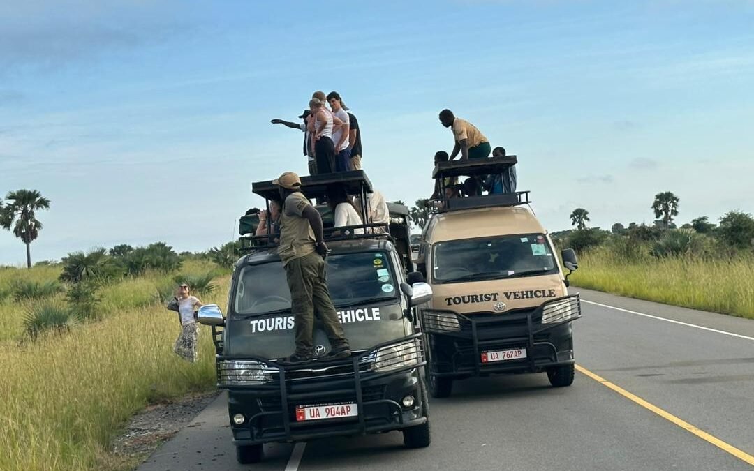 game-safari-in-murchison-falls-uganda