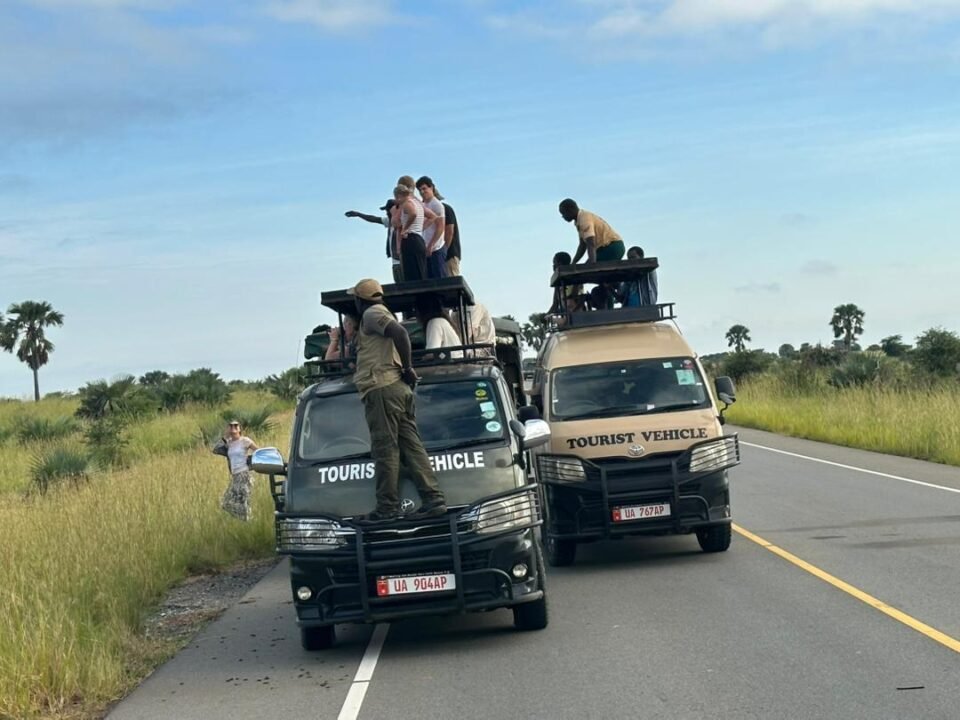 game-safari-in-murchison-falls-uganda